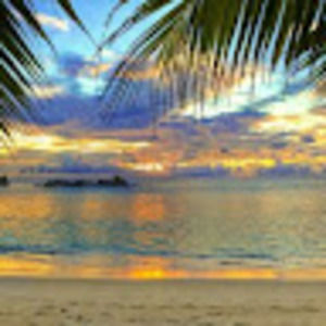 Meet your Posher, Cini